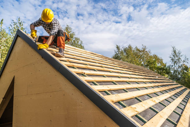 Best Metal Roofing Contractor  in Sumas, WA